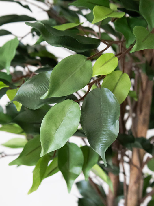 Artificial Ficus Plant 4ft.