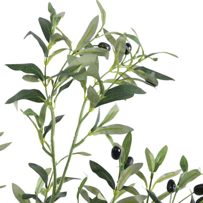 Artificial Olive Plant With Black Plastic Pot - 5. ft